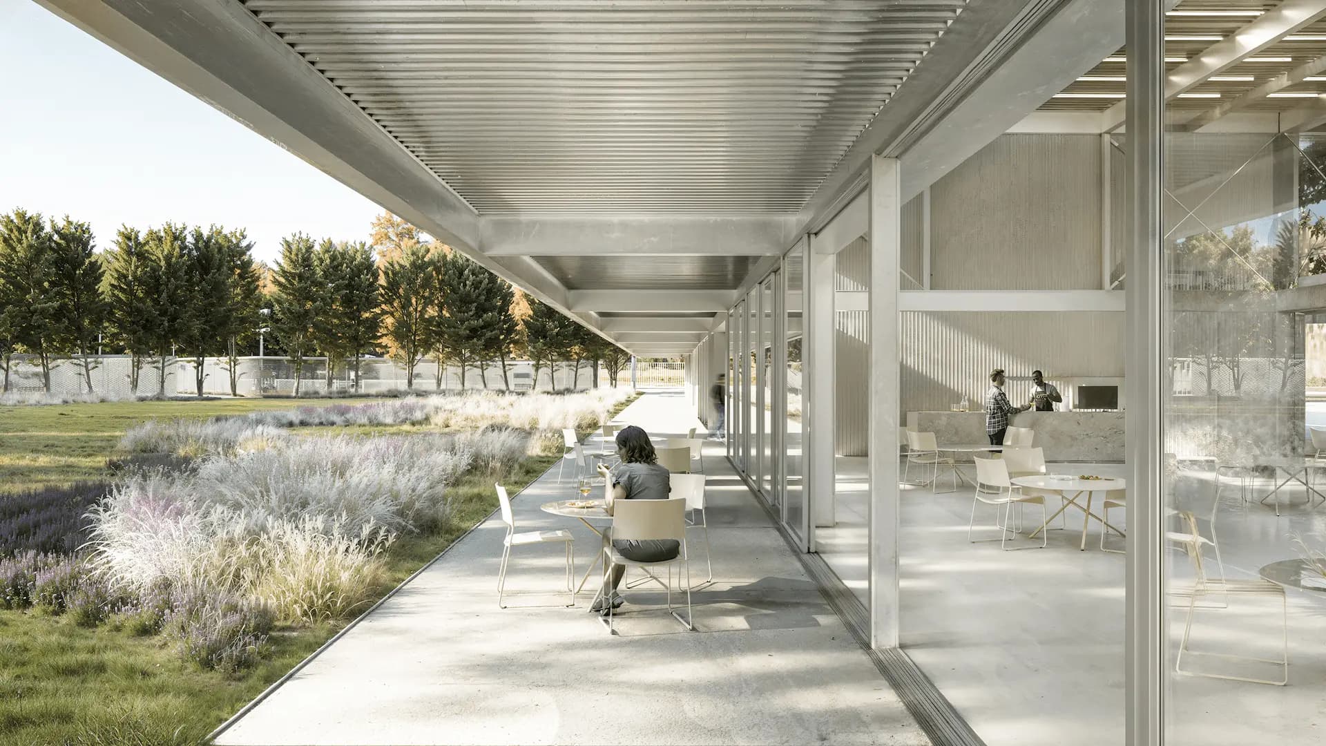 Iluminación natural en el proyecto